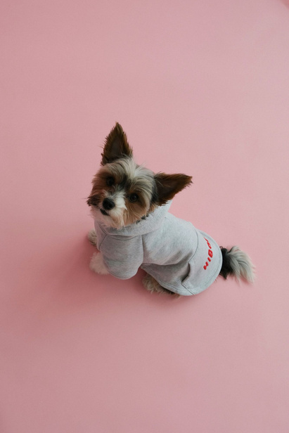 Grey Melange Hoodie for Dog with Fleece